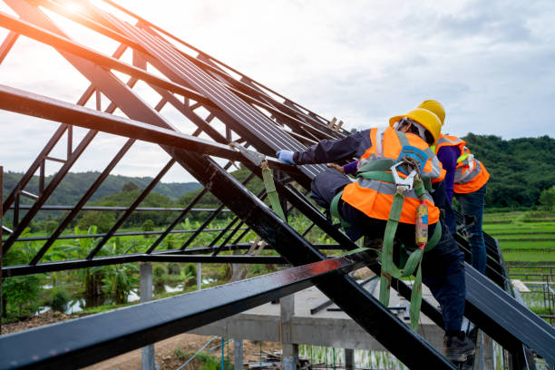 Best Local Roofing Companies  in Fraser, MI