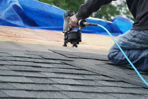 Best Flat Roof Repair Services  in Fraser, MI