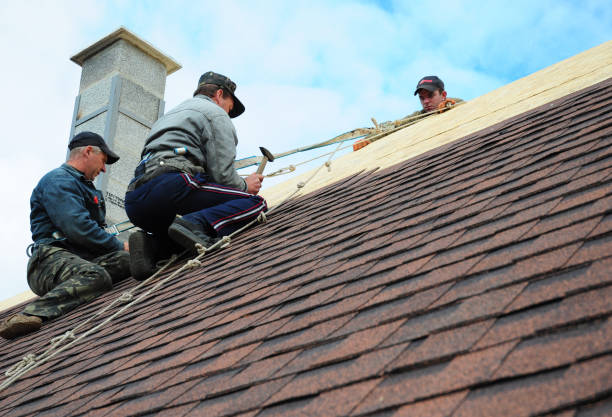 Best Storm Damage Roof Repair  in Fraser, MI