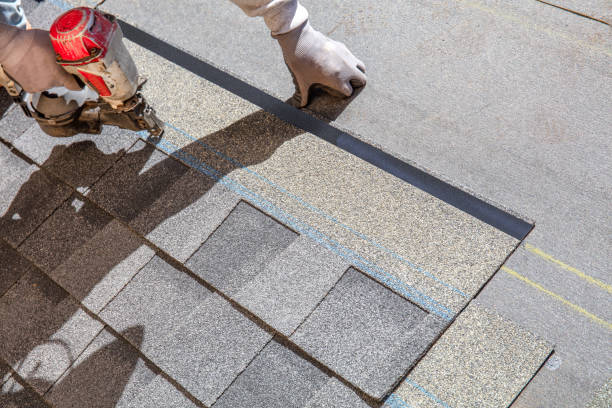 Best Roof Restoration Services  in Fraser, MI
