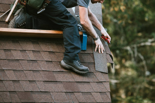 Best Roofing Contractor Near Me  in Fraser, MI
